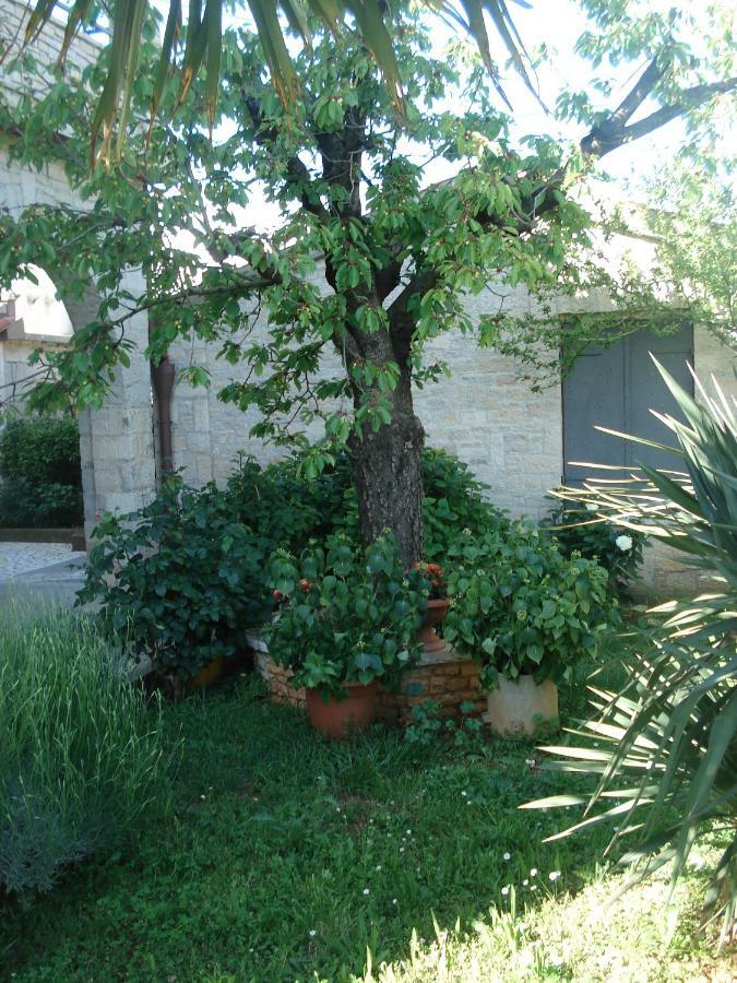 Apartment Tijano Krnica Dış mekan fotoğraf