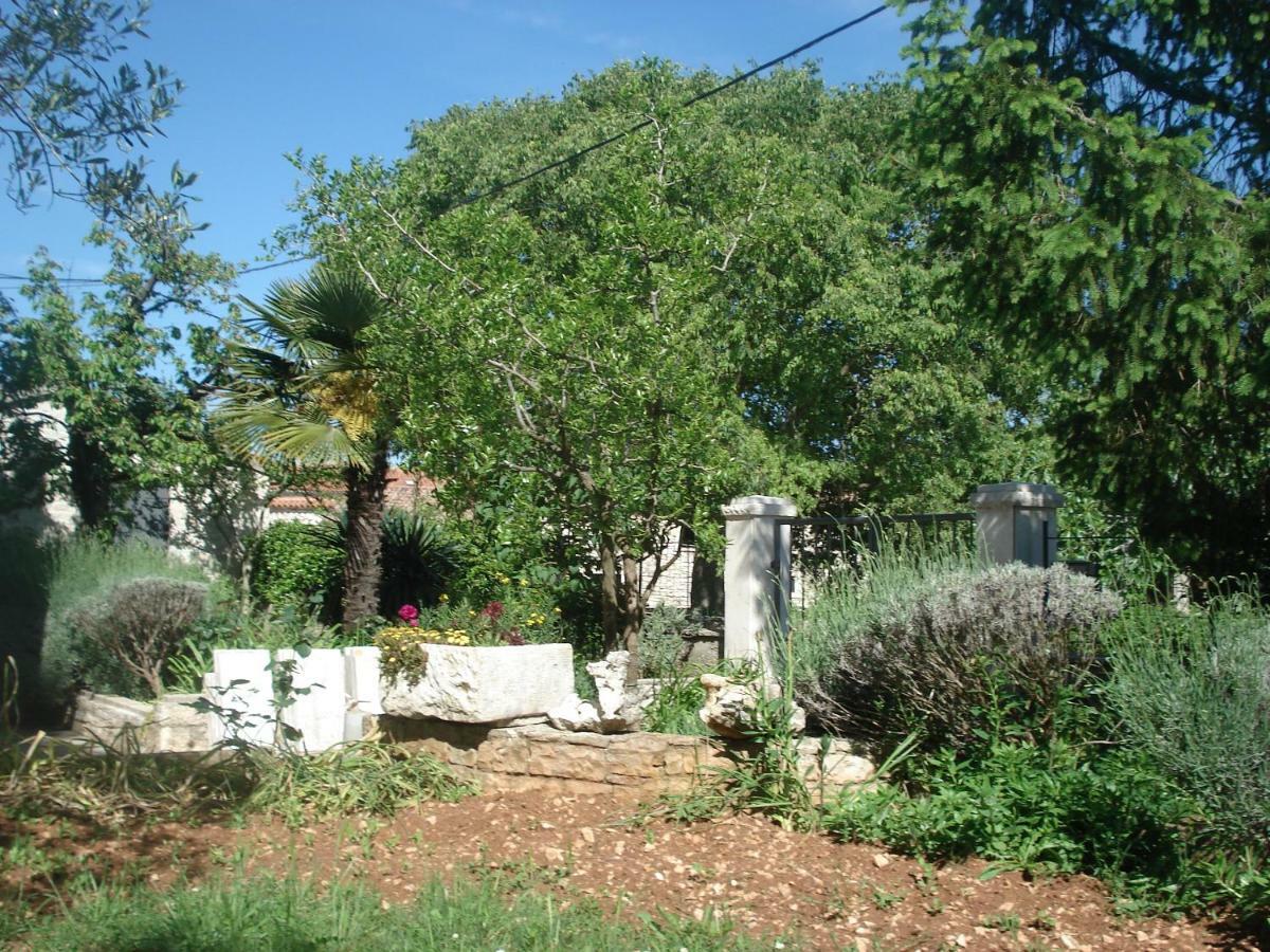 Apartment Tijano Krnica Dış mekan fotoğraf
